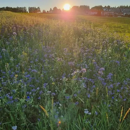 דירה Nr-23 By Interhome הוכנשוואנד